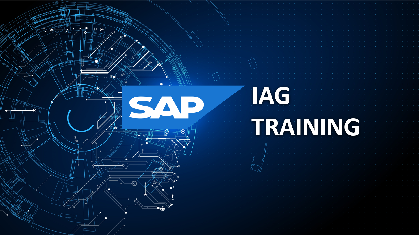 SAP IAG TRAINING